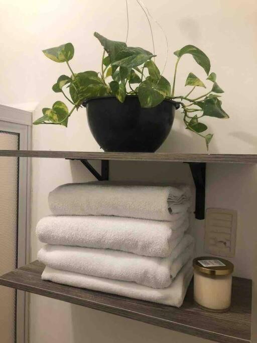 Comfortable And Private House 2 Bedrooms Wifi Parking Free Monterrey Dış mekan fotoğraf